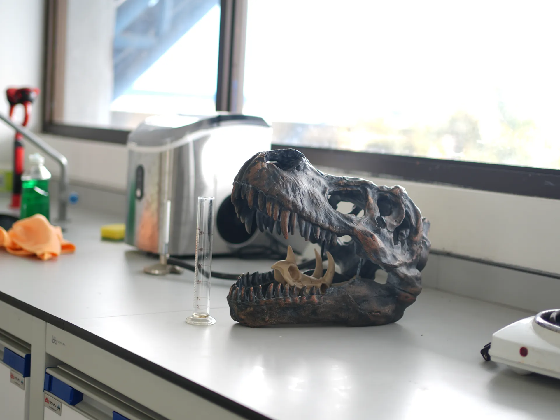 Lab Equipment