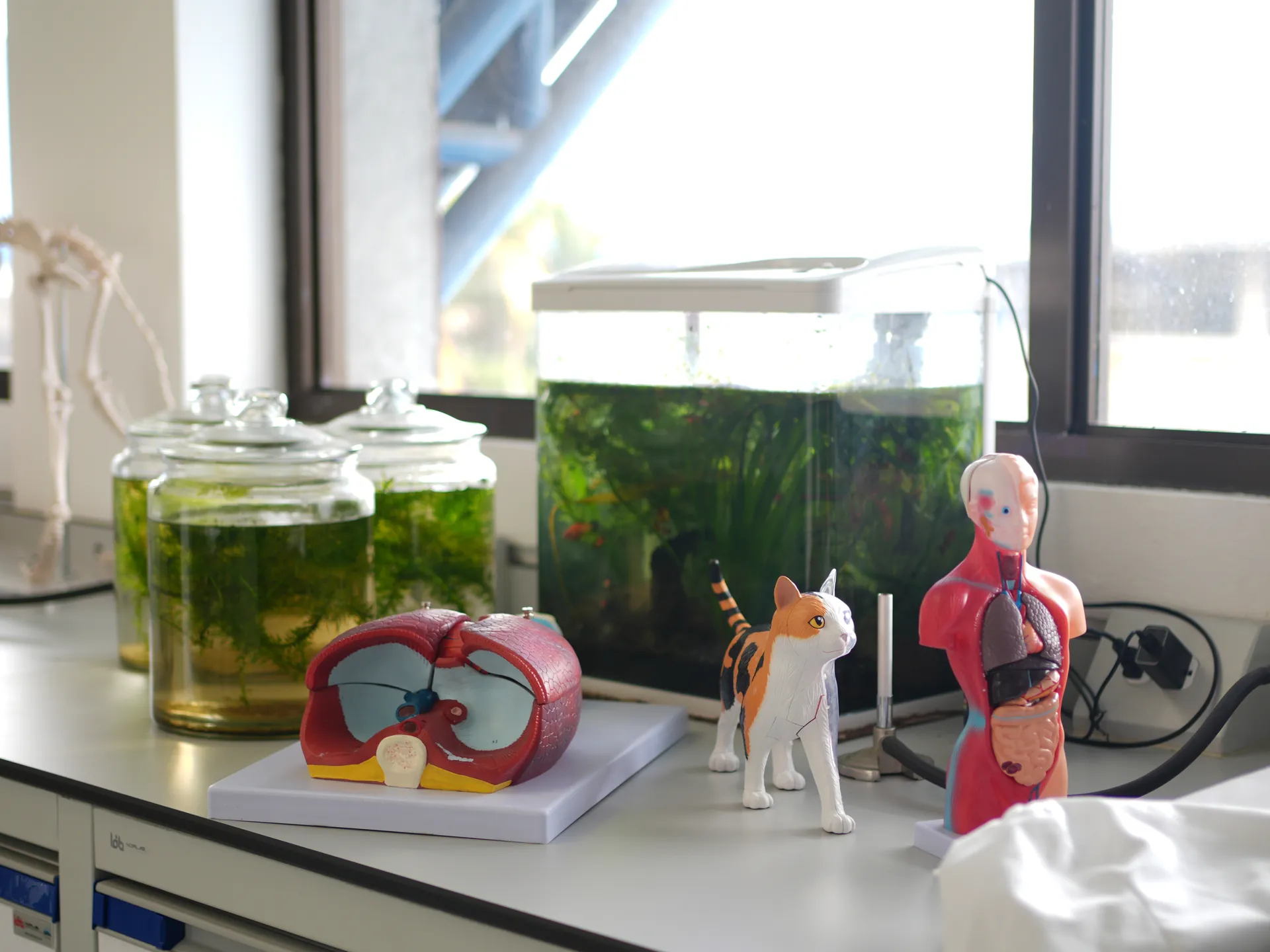 Students in Lab