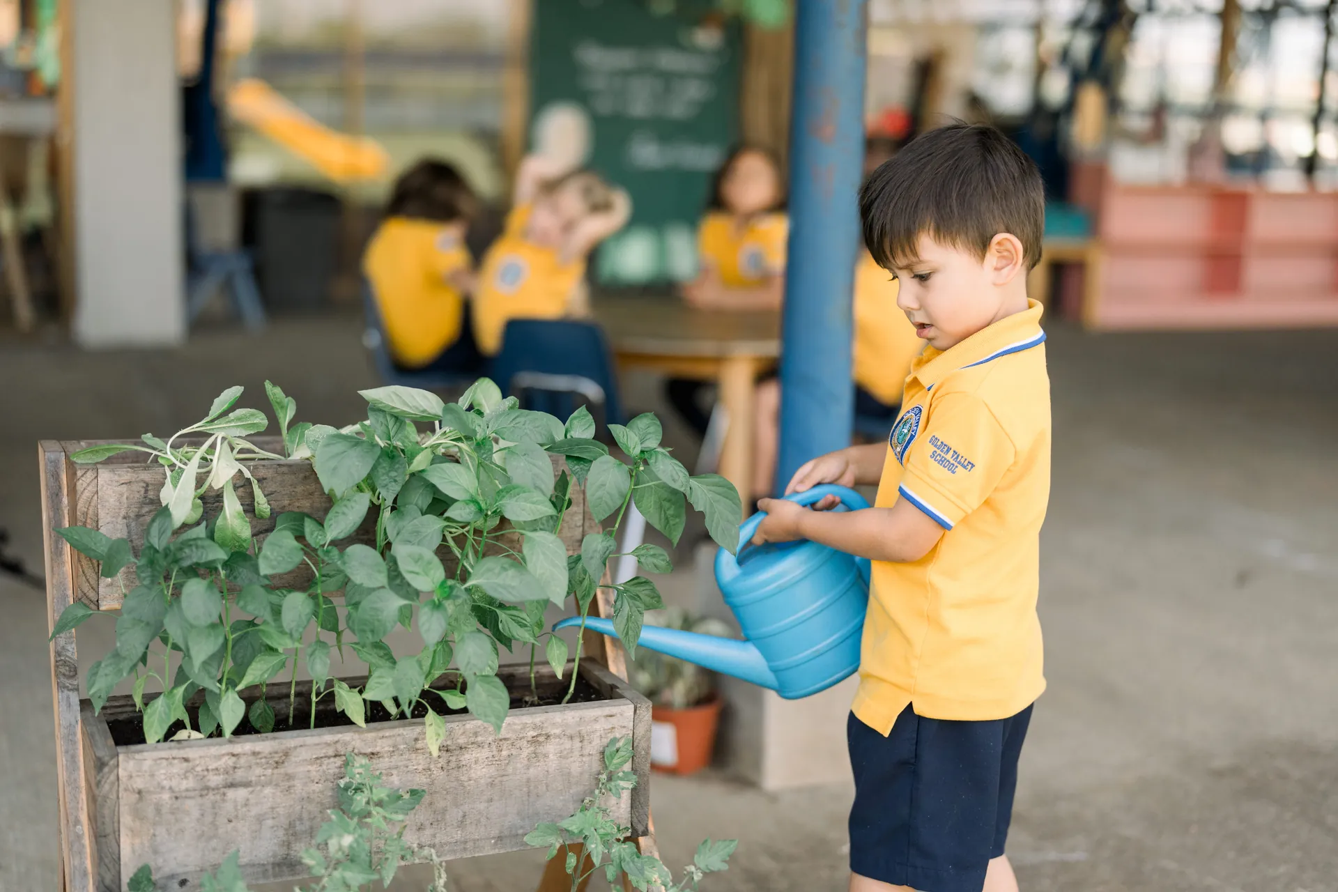 Orderly shelves and authentic materials in the Montessori prepared environment