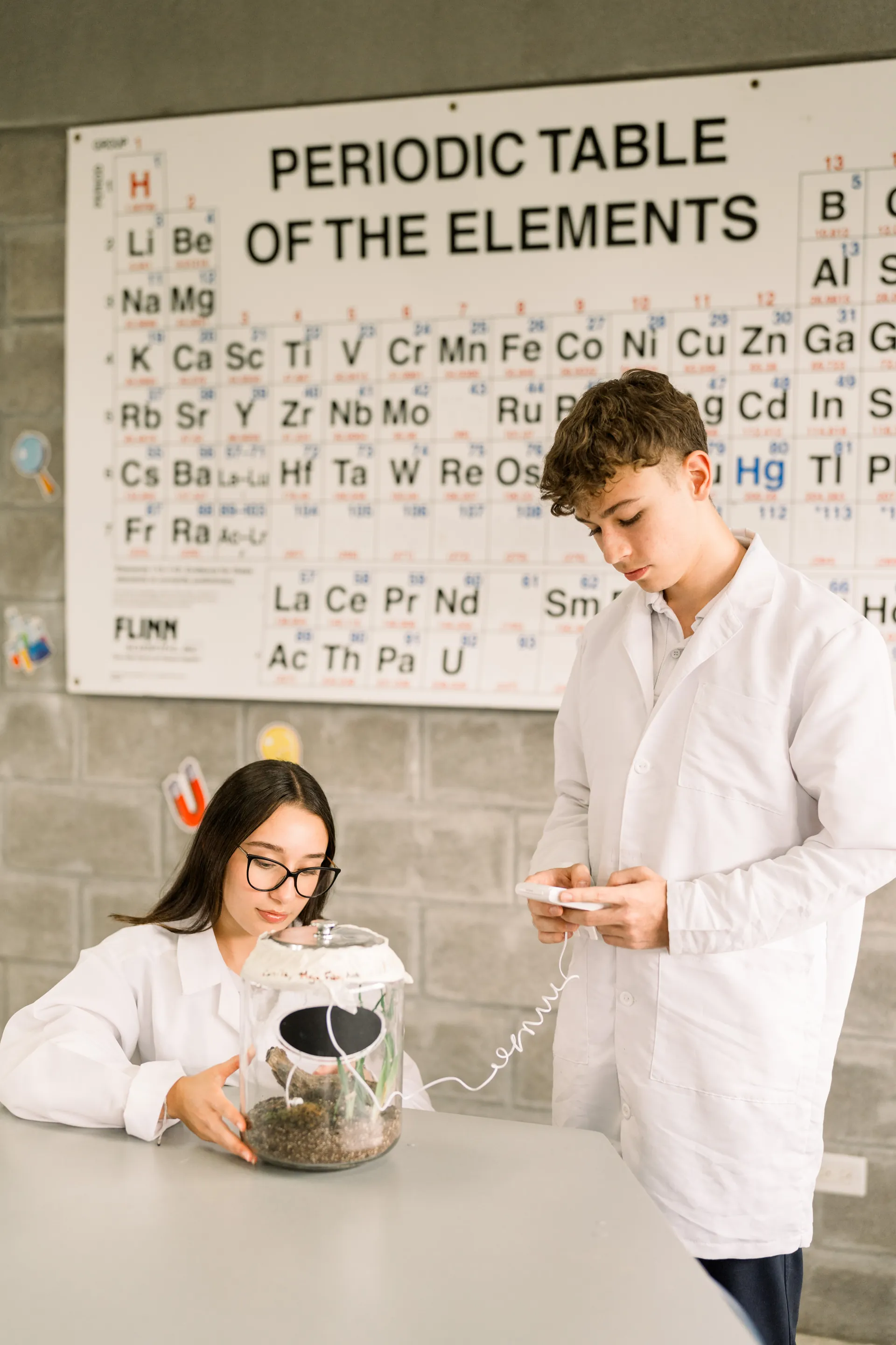 IB Diploma